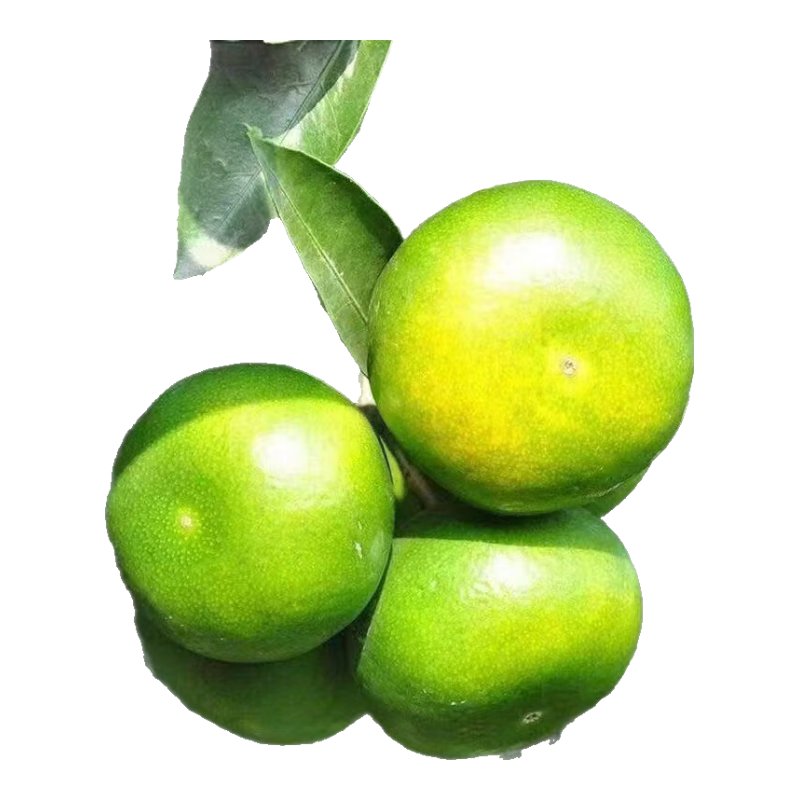 иƤӽӱƤˮ֭һ 250-60mm 5.9Ԫ