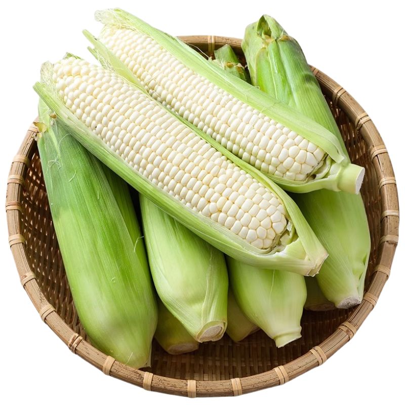京鲜生 云南白糯玉米 5斤 新鲜甜棒子苞米粗粮带皮 源头直发 16.9元(需领券)