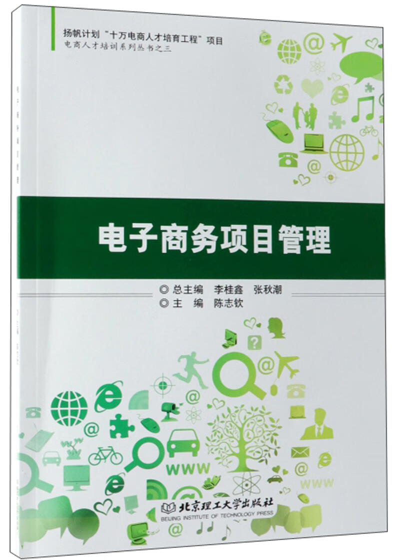 电子商务项目管理/电商人才培训系列丛书