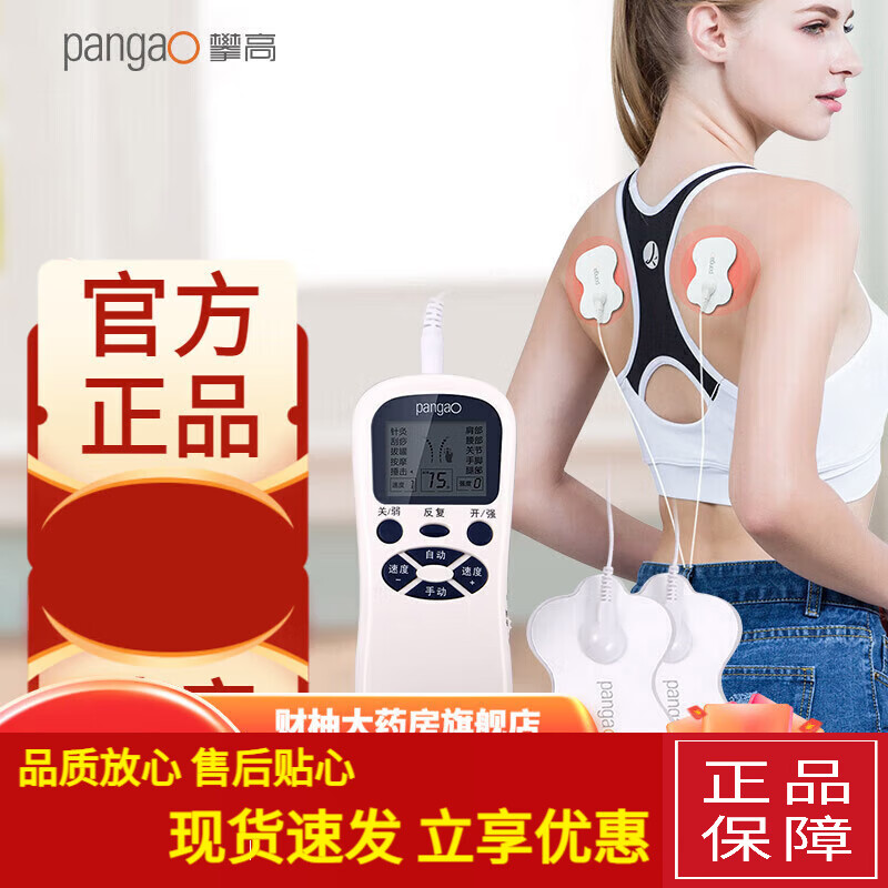 攀高PANGAO) 低頻頸椎治療儀 輔助治療儀 電脈沖理療儀家用辦公室 單通道低頻治療儀PG-2602A