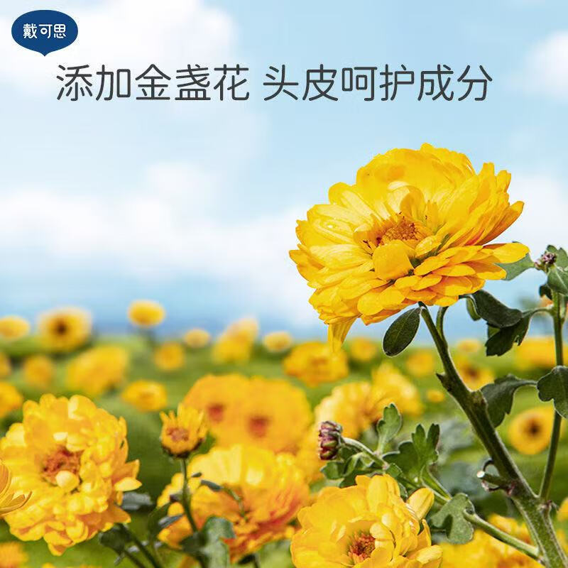 戴·可·思儿童金盏花柔润洗发露男孩女孩3-6岁12岁大童宝宝洗发水 儿童金盏花柔润洗发露300ml*2