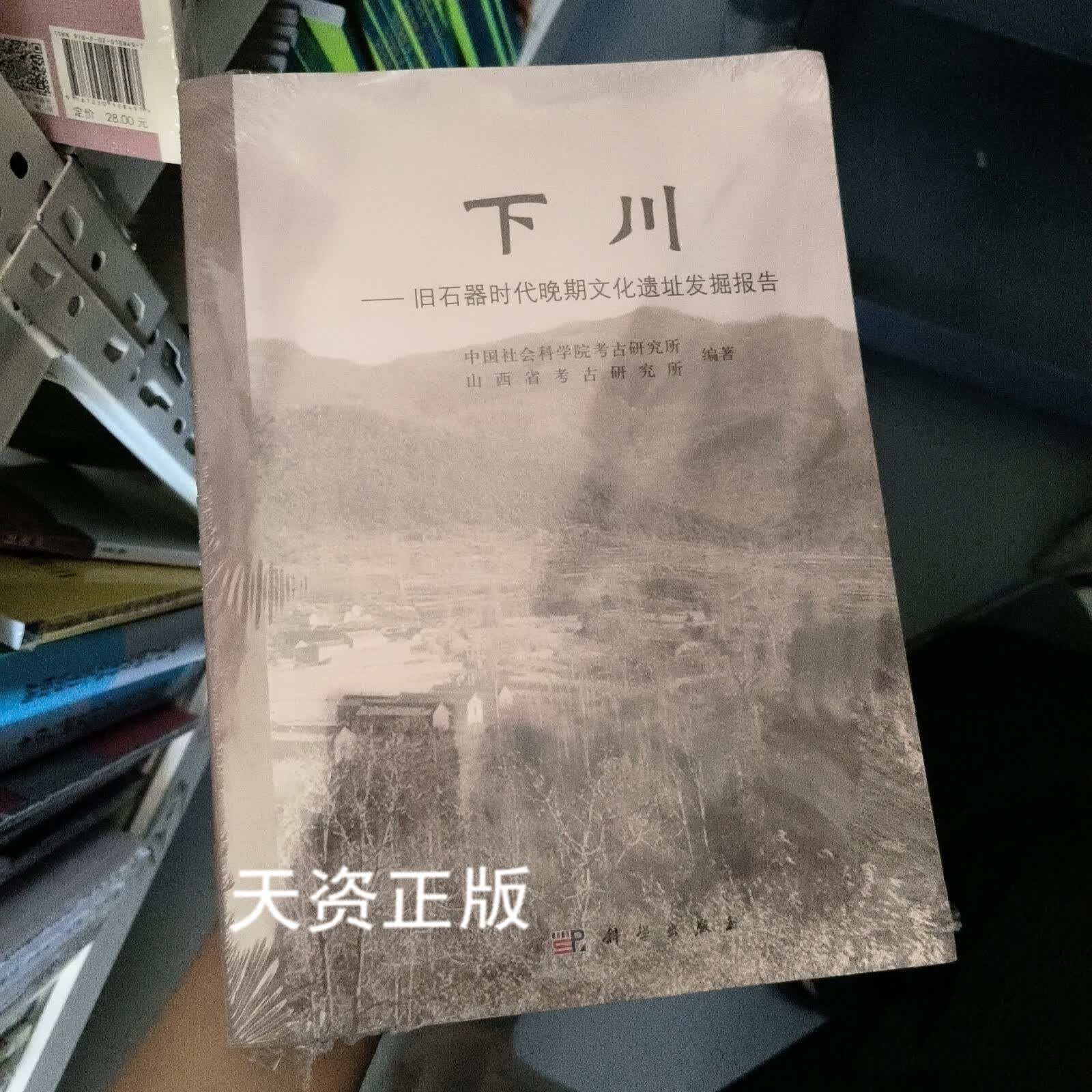 下川:旧石器时代晚期文化遗址发掘报告二手书