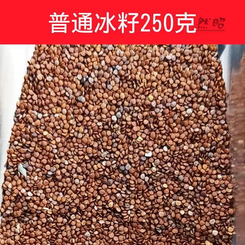 四川特产冰粉籽冰粉原料手搓商用冰粉粉天然野生气泡冰粉籽送工具