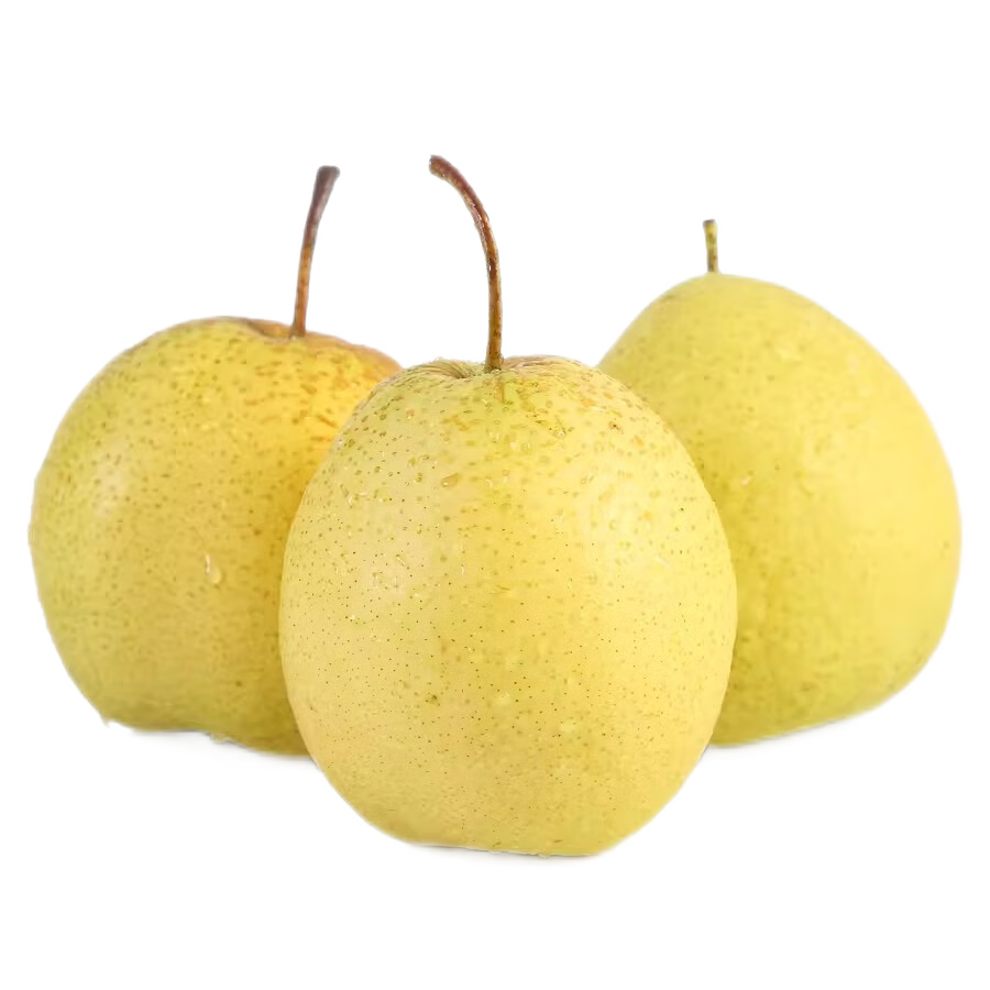 ѩֹˮ㺽 ֹȵ300g+9 26.99Ԫ