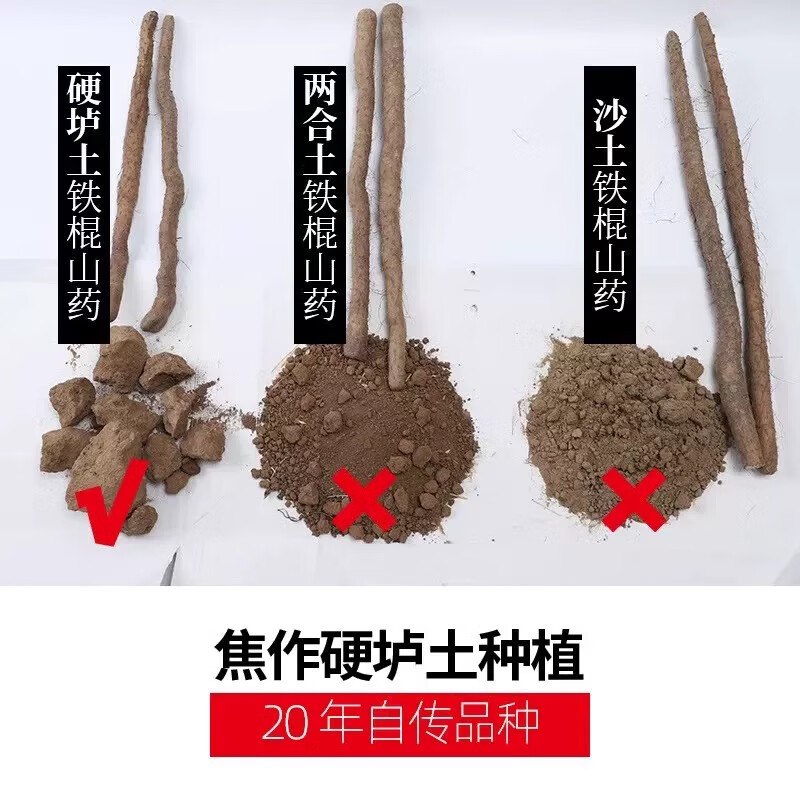 河南焦作温县垆土铁棍山药焦作怀山药不掺假山药正宗温县铁棍山药 五斤 (带箱五斤) 礼盒装:温县铁棍山药,整根发货,长度70厘米左右