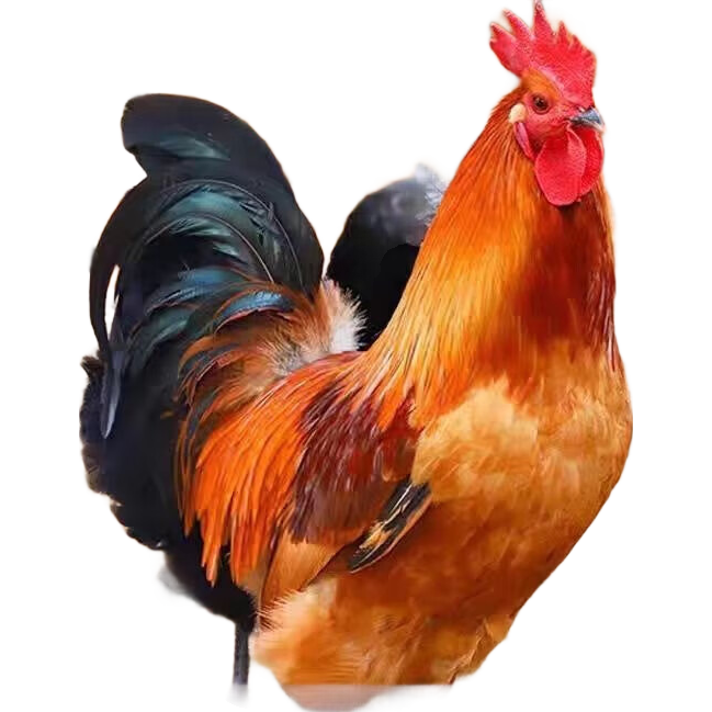 ɱٶũɢڷ 4/ֻ 1ֻװ 29.5Ԫ(ȯ)