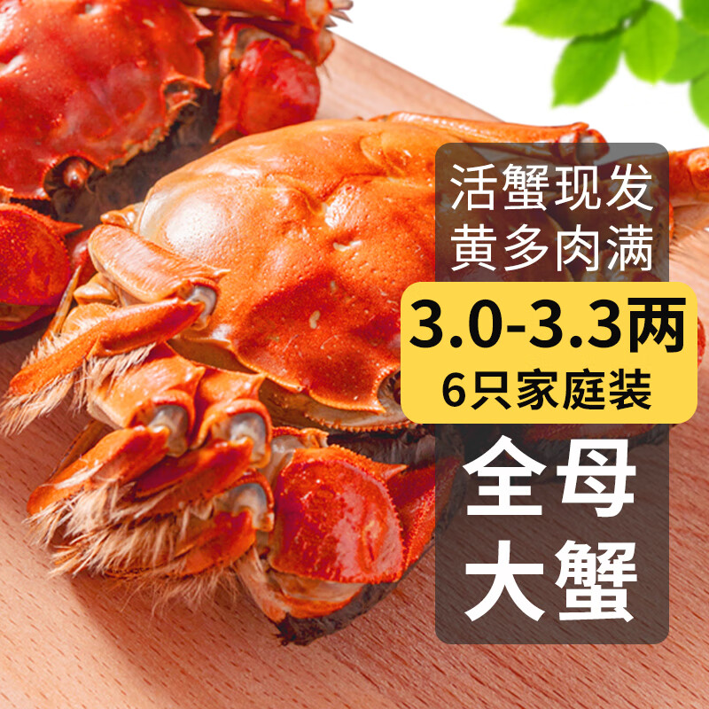 【活蟹】乾澄大闸蟹现货 全母蟹3.0-3.3两 6只 特大鲜活螃蟹海鲜河蟹礼盒装源头直发