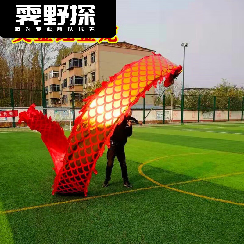 广场舞健身龙舞龙运动飞龙甩龙飘带彩带龙头单人舞龙甩龙龙布道具 烫金红金龙8米