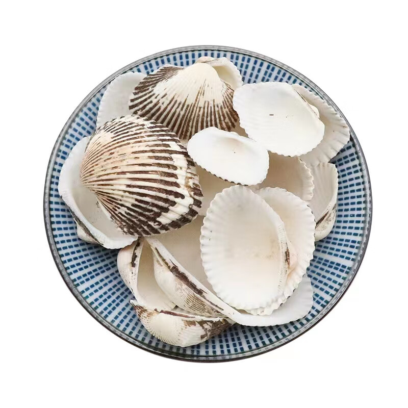 同仁堂（TRT）云南中药材瓦楞子500g精选特级天然无硫生瓦楞子干净可磨粉