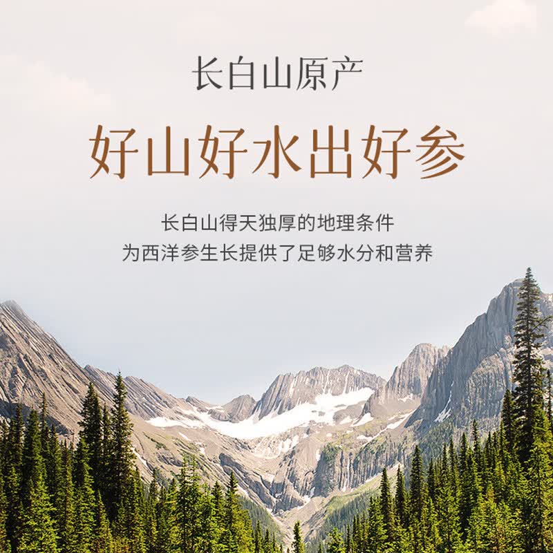 老滇凰西洋参片长白山西洋参切片生晒参片干参抚松人参