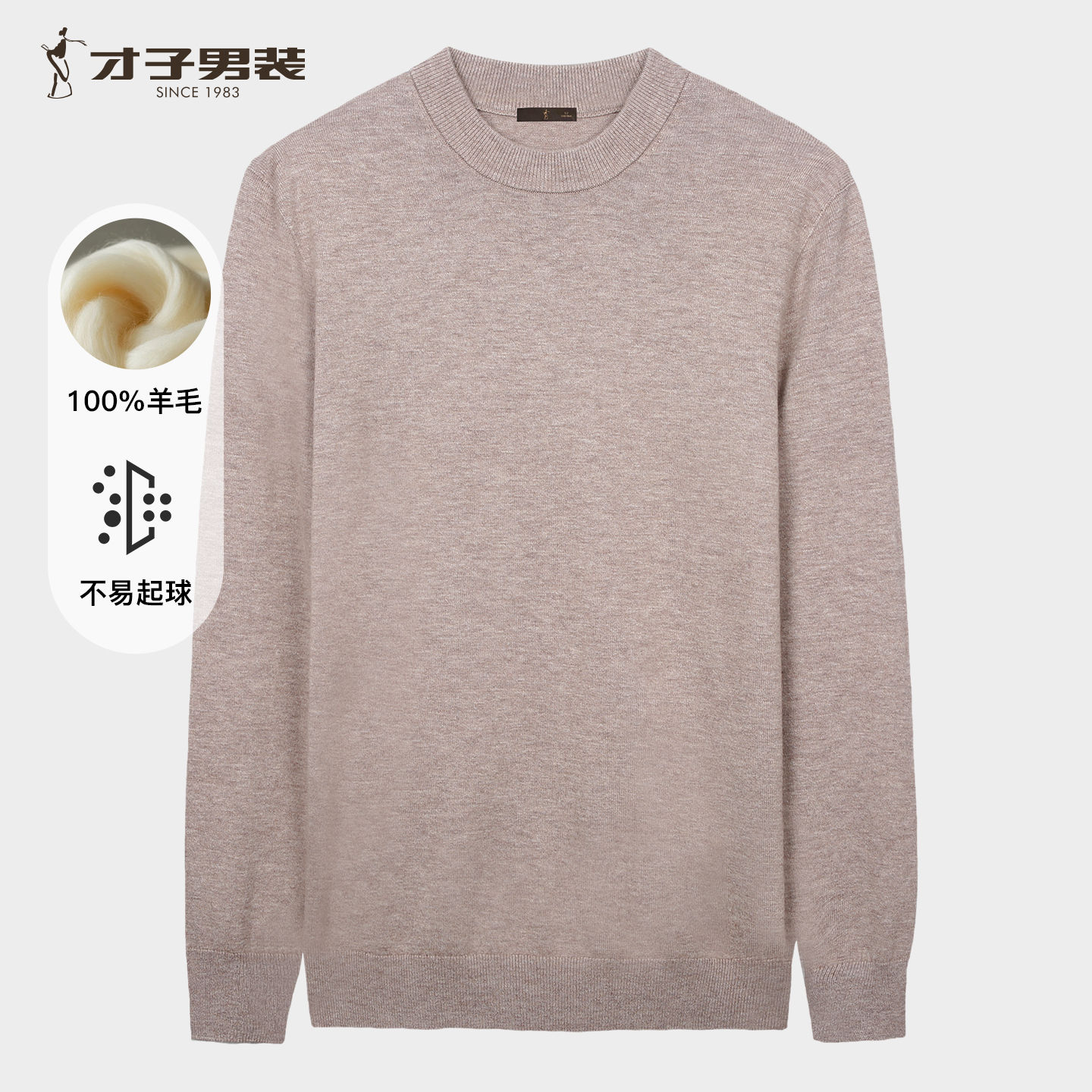才子（TRIES）商务男士半高领羊毛衫秋冬保暖弹力毛衣男纯色通勤百搭针织衫 驼色 L 48 (170/88A)