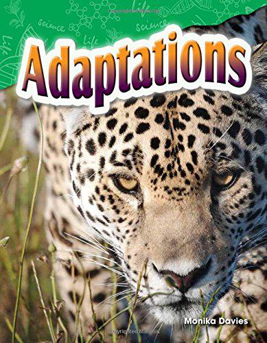 【预订】adaptations (grade 4)