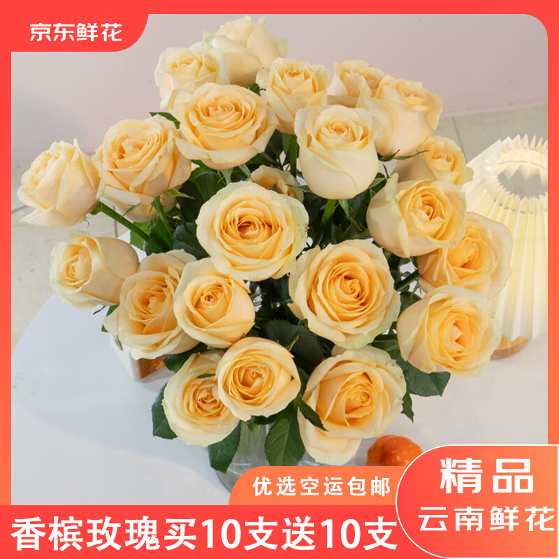 京东鲜花源头直发云南基地鲜花直发无土香槟玫瑰买10枝送10枝生活鲜花