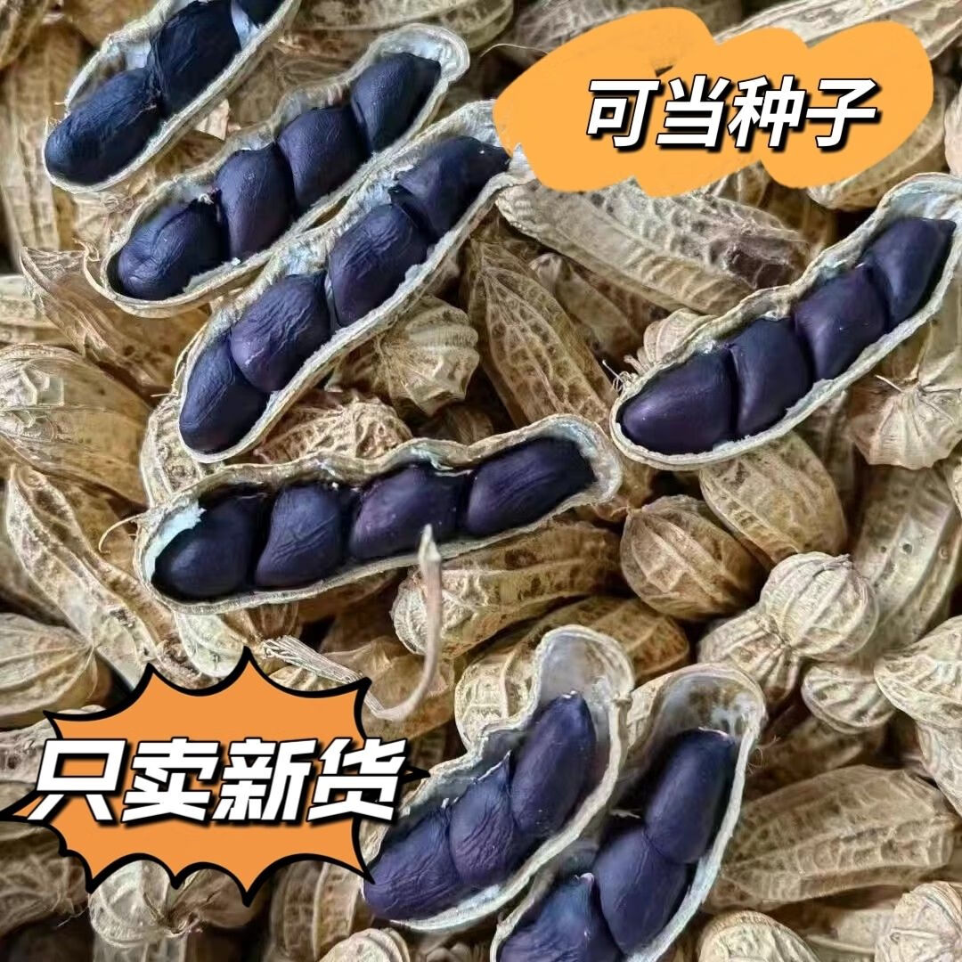 超底价】黑花生农家新货带壳花生花生米原味紫皮新鲜晒干黑皮批发 带壳黑花生+优选农家自种+地道口感 4斤