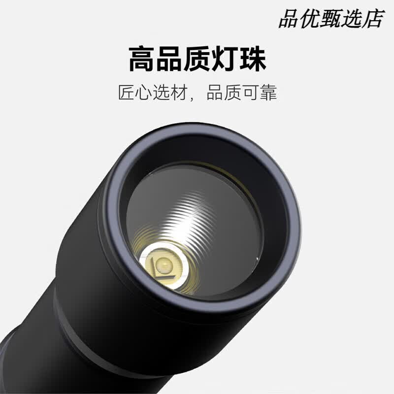 极蜂(BeeBest)F1P强光手电筒家用耐用小型可充电野外超亮远射大功率 F1P充电款