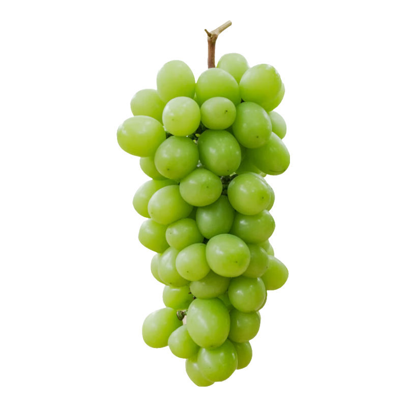 阳光葡萄青提晴王无籽葡萄新鲜水果爆甜 带箱5斤（单果10g+）2-3串