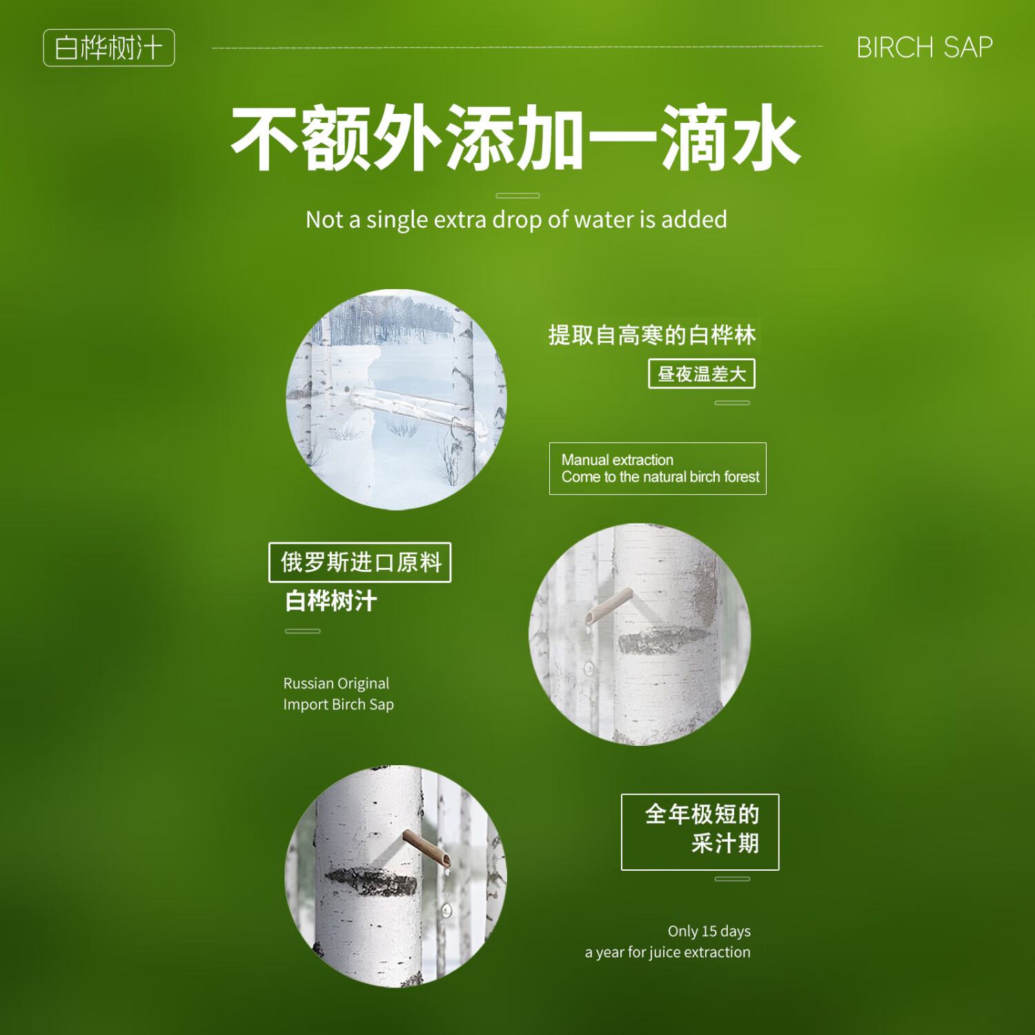 FONDHEAL白桦树汁原浆液100%俄罗斯进口原料非长白山NFC饮料水果椰汁饮品 280mL/瓶x9瓶/箱 到手2箱 无规格