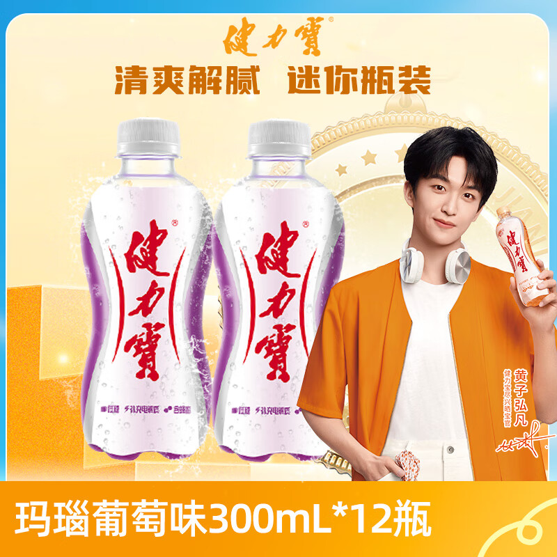 �����������������ζ300mL*12���������˶�̼��������ˮ��ζСƿ��Я