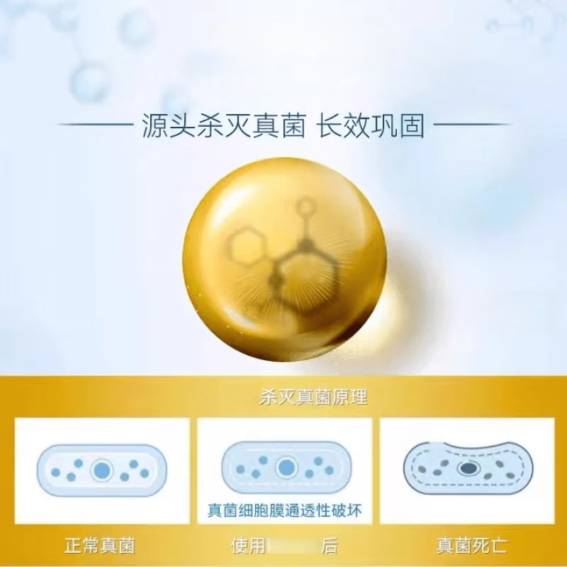 贝因维丝（BEIYVS）铜康睉发用洗剂【去屑】枫慕大夫正品升级草本精华无屑可击 3瓶 官正方品旗舰