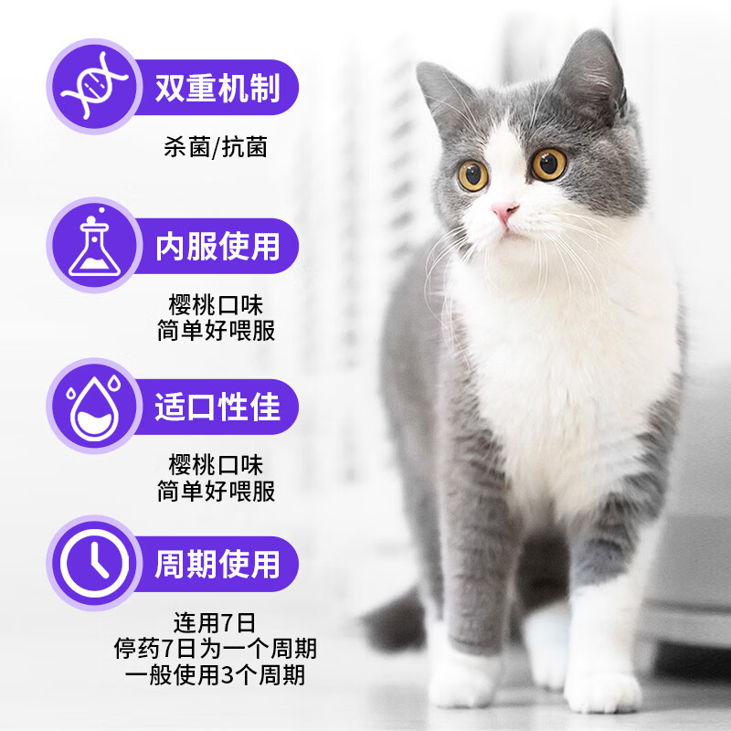 荣佳润伊曲康唑猫癣口服药猫癣狗癣马拉色菌犬小孢子菌真菌皮肤病专用药 伊曲康唑 10ml*1瓶 【送肝精口服液】