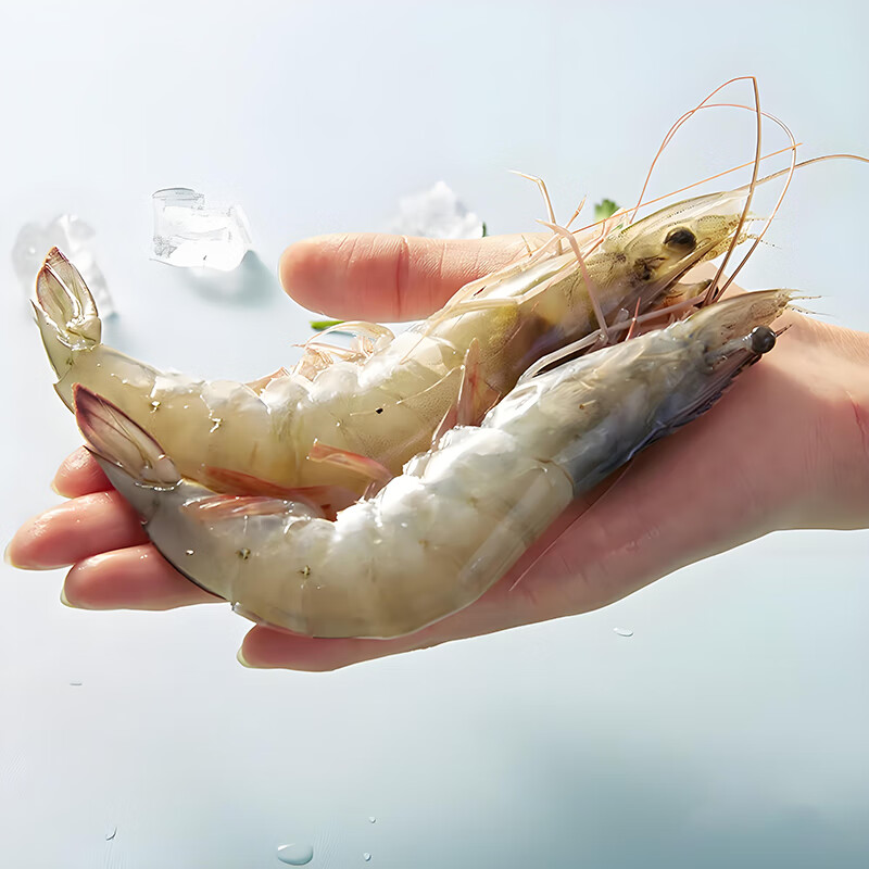 钦小鲜 原装进口白虾 厄瓜多尔白虾净重3.3斤大号盐冻海捕大虾海鲜水产 厄瓜多尔白虾 3.3斤(净重) 大号(30-40只)