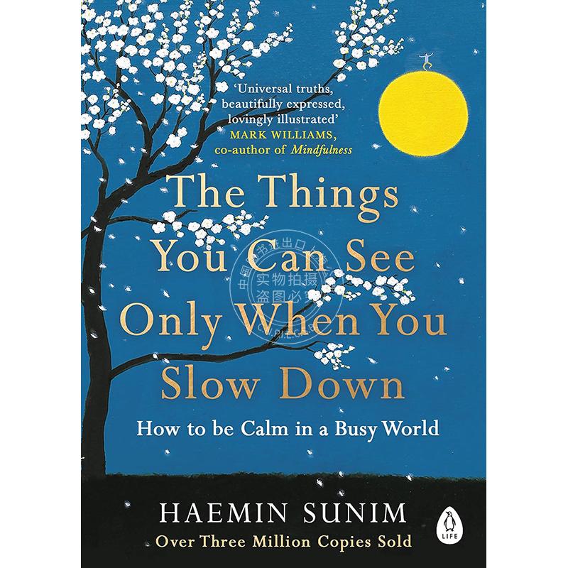 预售 只有当你放慢脚步时，才能看到的事物 Haemin Sunim 英文原版 The Things You Can See Only When You Slow Down