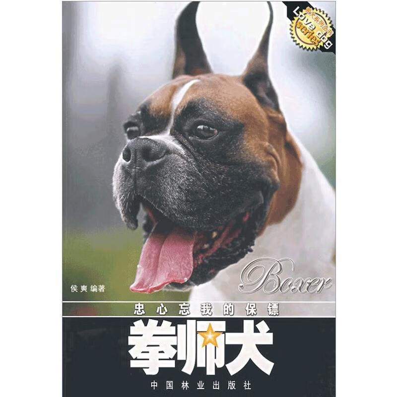 忠心忘我的保镖:拳师犬