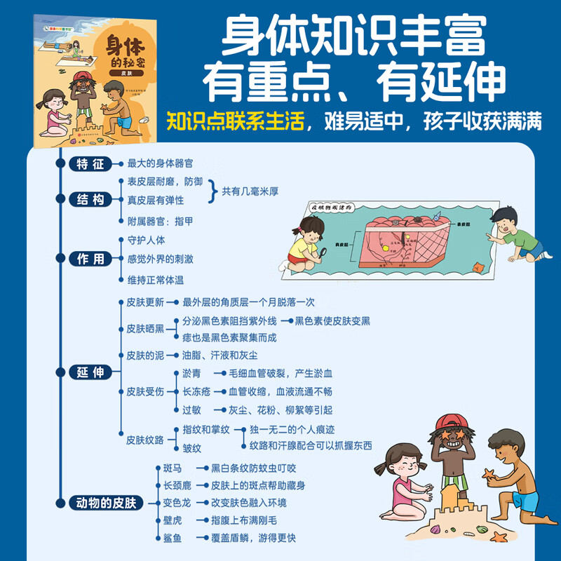 【新书】亲亲科学图书馆:身体的秘密(全10册) 3-6-8岁儿童日常生活化科普百科全书绘本皮肤呼吸毛发骨骼幼儿阅读启蒙亲子早教漫画 身体的秘密(全10册)