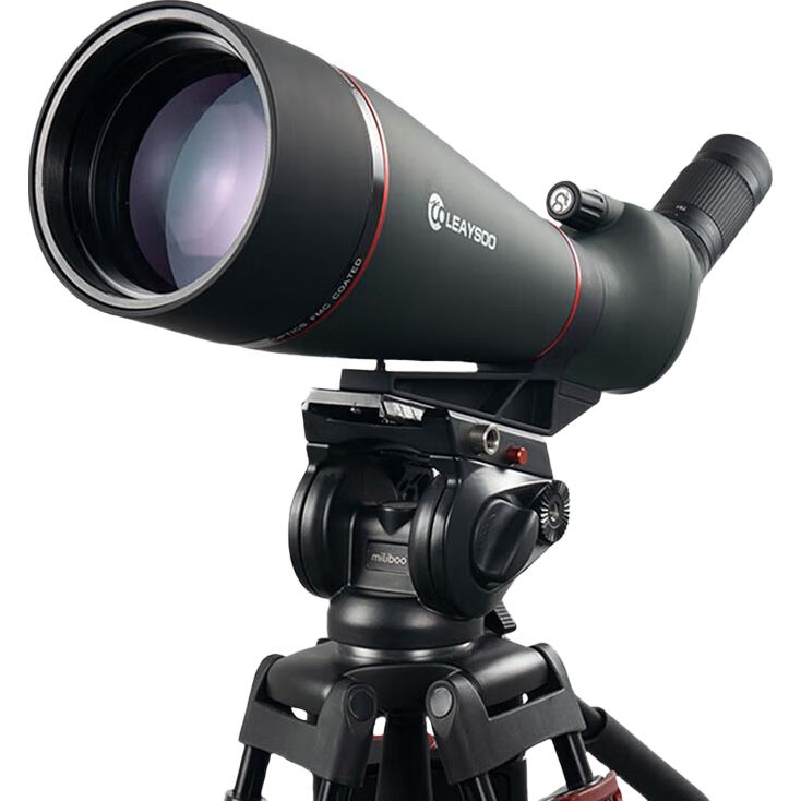 ���ڲ���������׷����25-75X100��ھ�����߱�רҵ�����˻���۰й��� 926Ԫ