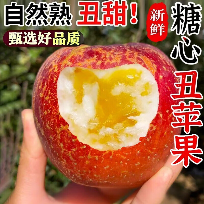 闽农语果丑苹果正宗高山种植新鲜糖心苹果水果应当季节日送礼红富士苹果 5斤【活动款 | 单果60-70mm】净重4.5斤 【果蔬金榜】