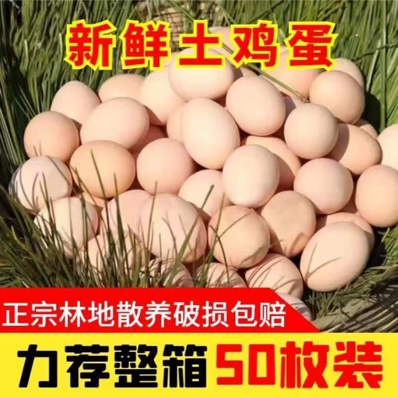 土鸡蛋正宗散养土鸡蛋新鲜农村野外月子孕 走地土鸡蛋【精选装】 10枚