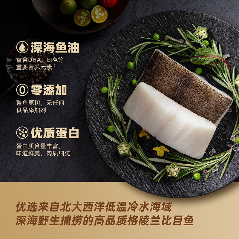 【海鲜国度】去刺进口野生格陵兰比目鱼块辅食独立包装MSC认证 去刺格陵兰比目鱼块1包 500g
