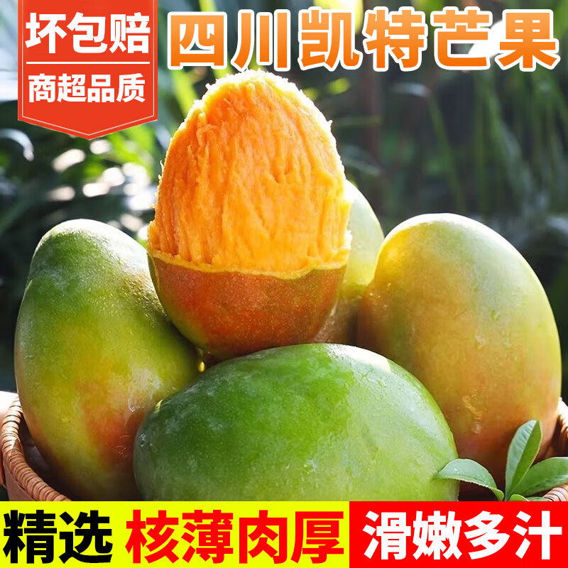 甜果源 攀枝花凯特芒果 大青皮芒果老树煌芒台应季时令礼盒新鲜水果包邮 5斤【单果200-300g】净重4.5-4.9斤