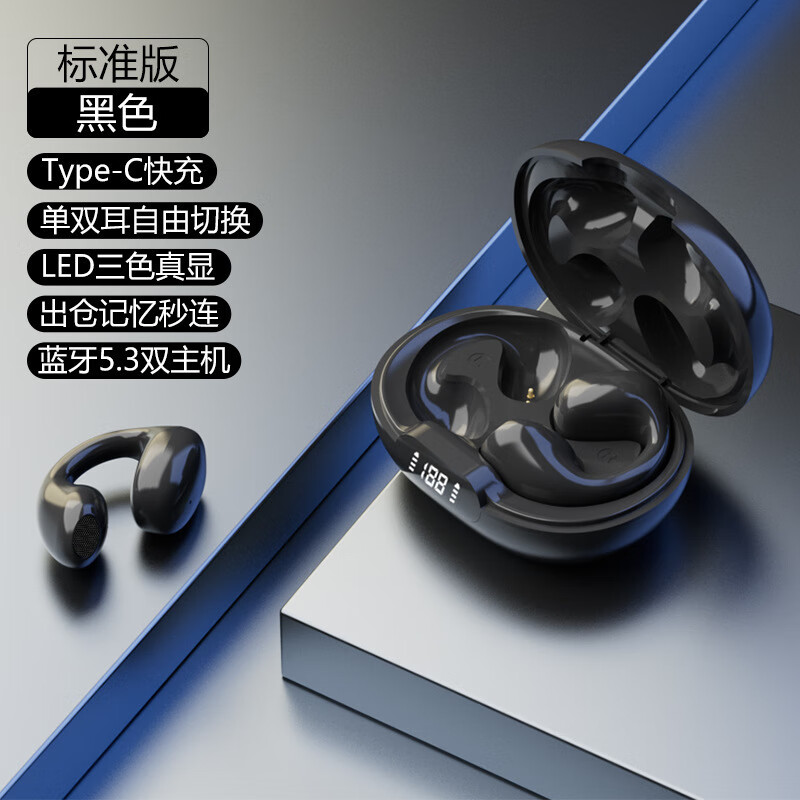 辉骐士D101私模真无线夹耳式d101蓝牙耳机运动夹耳运动蓝牙耳机 D101（黑色