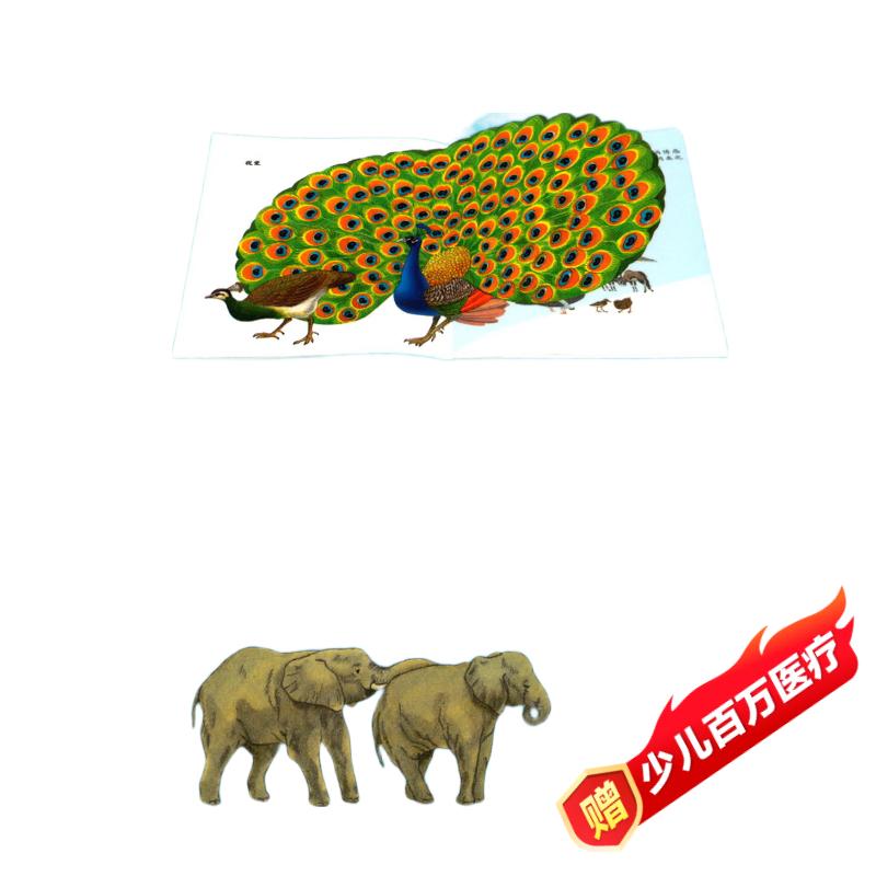 生命是怎么来的/透视眼系列/第一次发现丛书