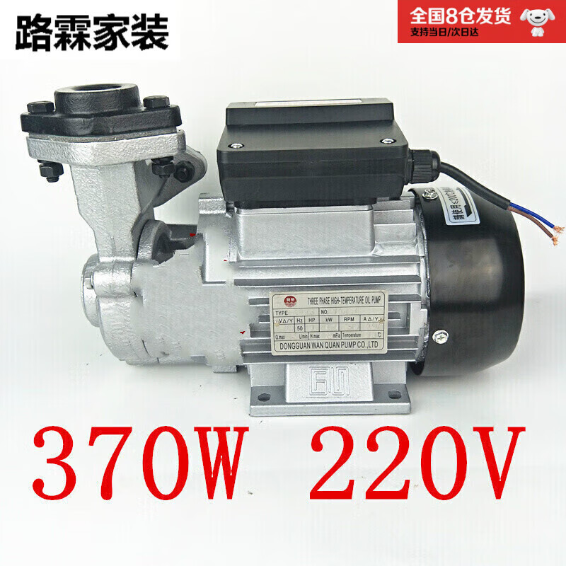 丹斯提尼TS-63/71款熱油泵模溫機熱油循環(huán)泵耐高溫00°C油泵導熱油泵定制 370W_220V高溫200度