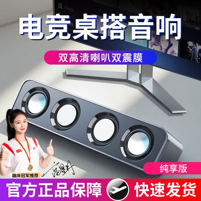 赛达电脑音响台式小型桌面迷你有线有源USB音箱家用笔记本外接双喇叭高音质低音炮游戏电竞扩音器 曜石黑标配【有线连接】