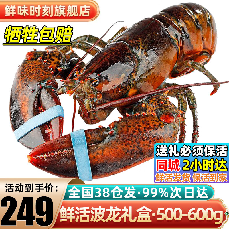 ζʱ̡-ʿϺʻϺдϺϺ۲ 1-12/ֻ *1ֻأ249Ԫ