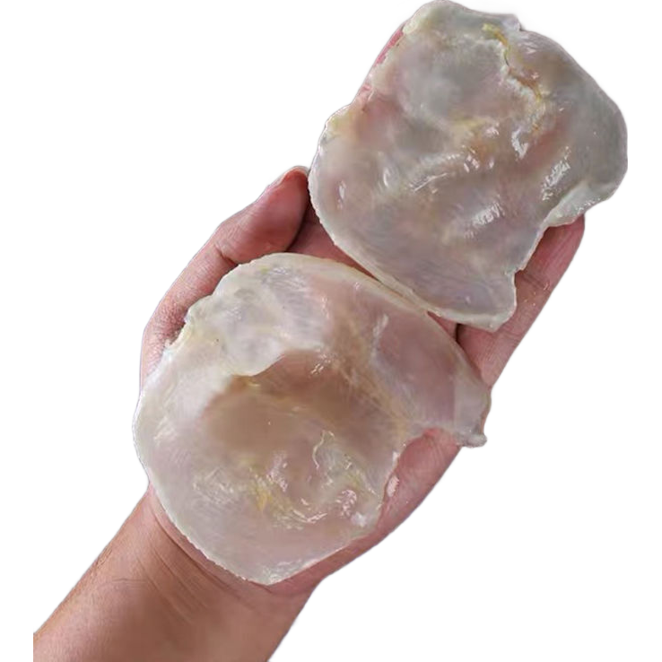 【自選好物】白花膠深海魚(yú)膠北海魚(yú)膠干貨花膠雞魚(yú)泡孕婦魚(yú)肚干貨魚(yú)鰾 斗湖膠-100g(約18個(gè))