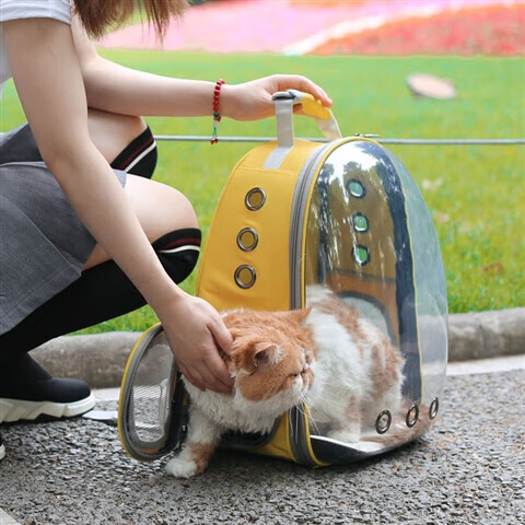 猫包外出便携包太空舱透气双肩背包猫书包大容量猫咪外带宠物用品 天蓝色-侧开门茶壳