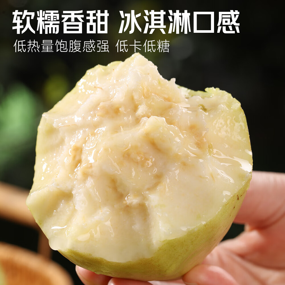 甜果源 白心软糯芭乐 白奶油巴乐番石榴低糖时令当应季新鲜水果 净重4.5斤【单果100-150g】