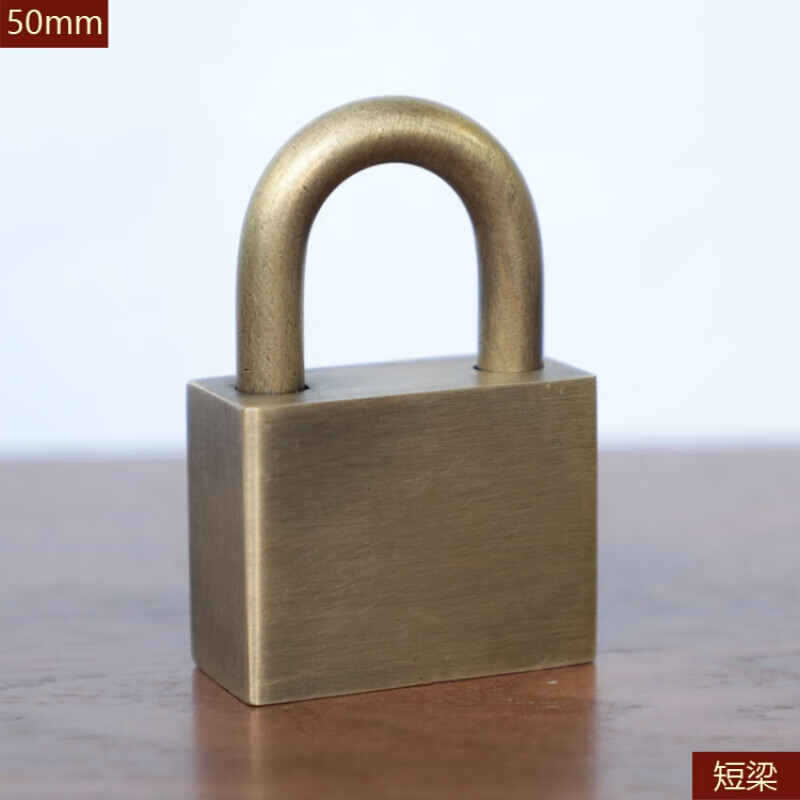 天颛定做中式挂锁仿古纯铜长锁防盗防锈复古大门锁家用小锁具锁头 50