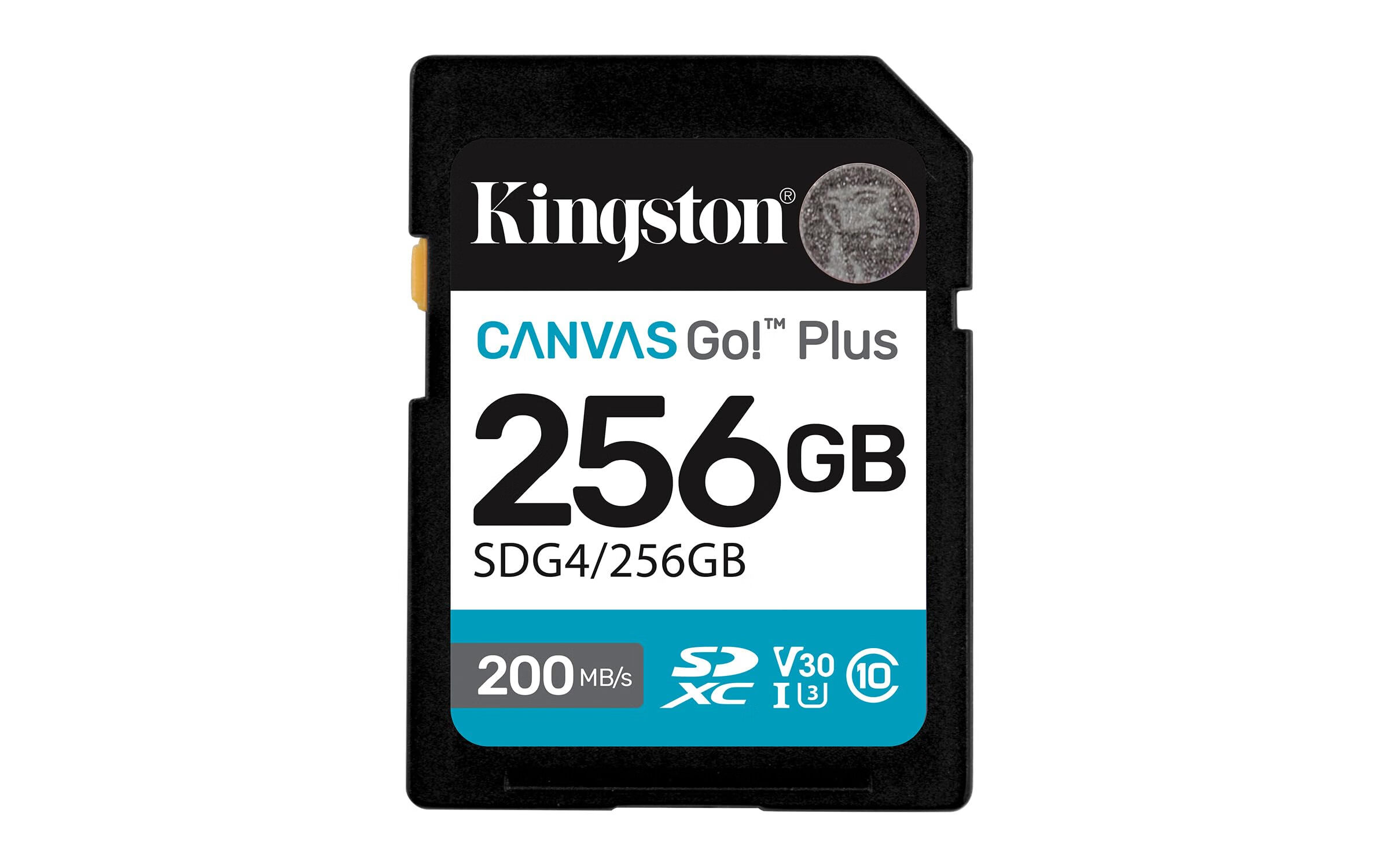 Kingston 金士顿 256GB Canvas Go Plus SD 卡  高达 200MB/s  Class 10 黑色和白色 256 GB