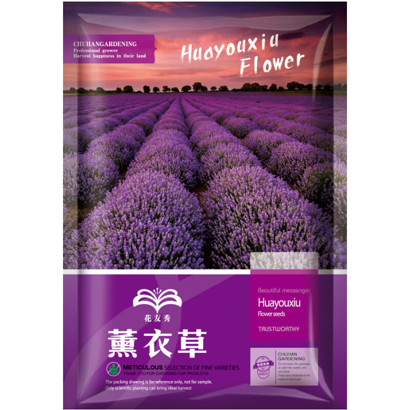 花友秀（HUAYOUXIU）薰衣草种子香草种子花种子庭院香草阳台花籽四季种植盆栽种子