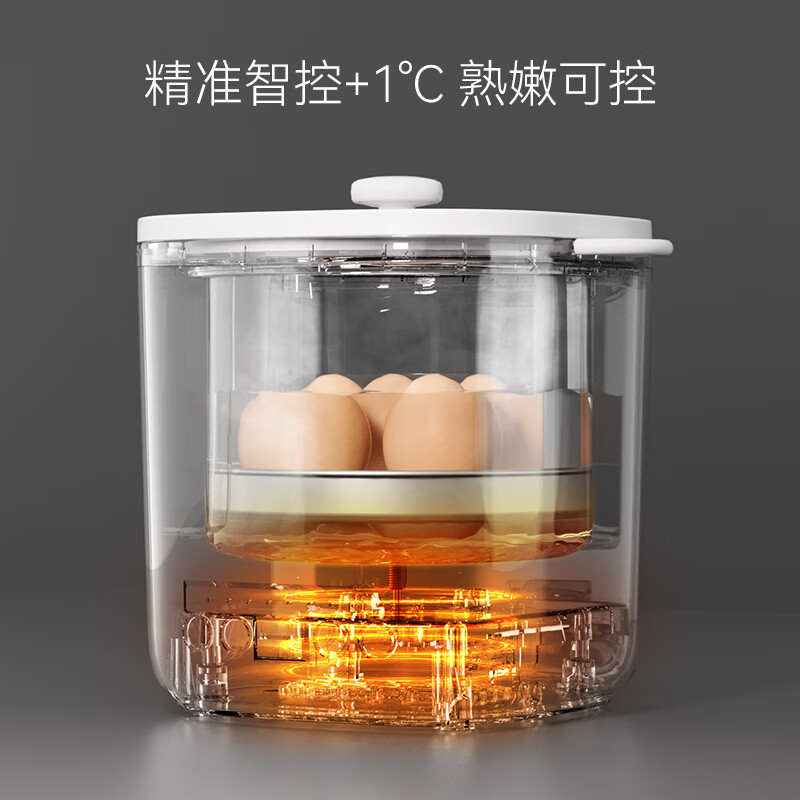 七彩叮当多功能迷你煮蛋器蒸蛋器家用小型可预约定时自动断电多功能炖蛋神器 单层 【304内胆】配炖盅+提蛋架