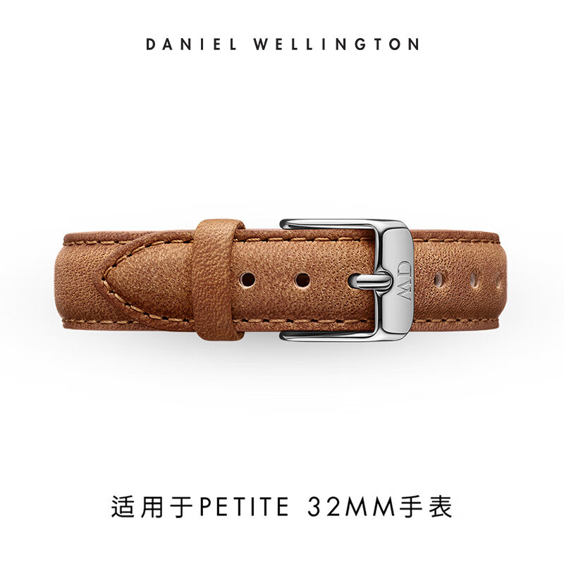 丹尼尔惠灵顿（DanielWellington）DW表带14mm皮带银色针扣女款DW00200148（适用于32mm表盘