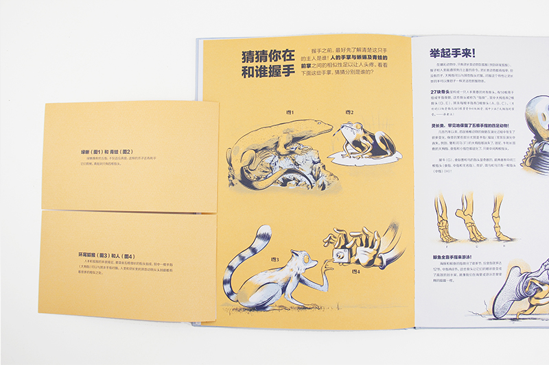 谁的骨头？详情图