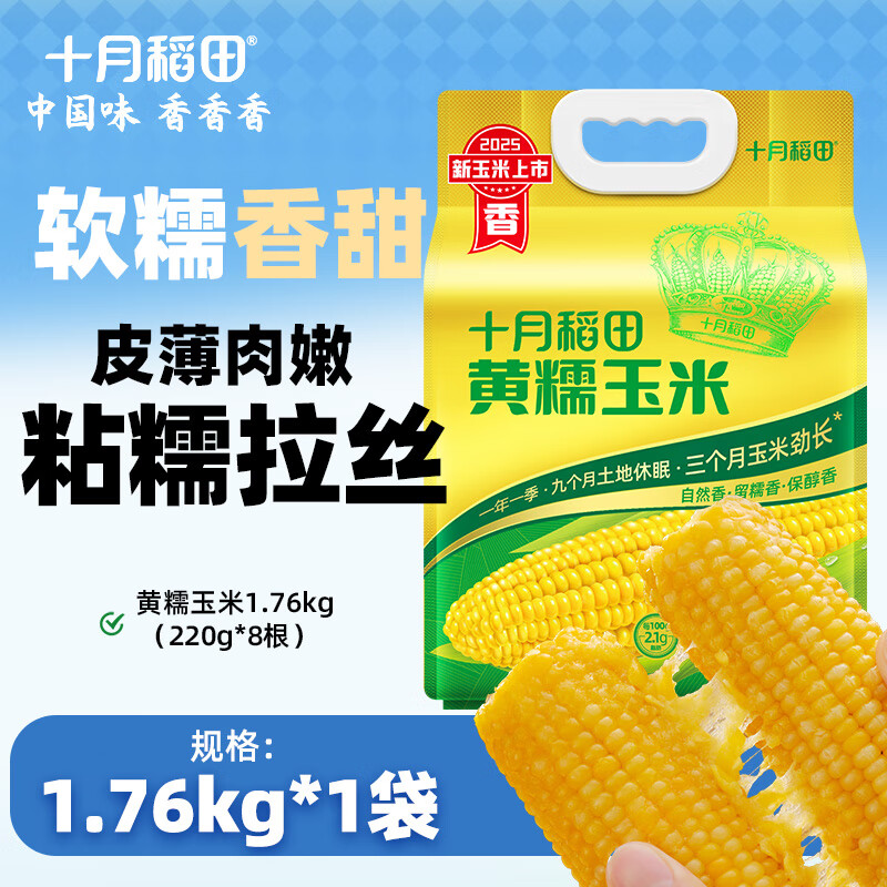 十月稻田 甜糯玉米 轻食 【2025新玉米】黄糯玉米1.76kg*1袋