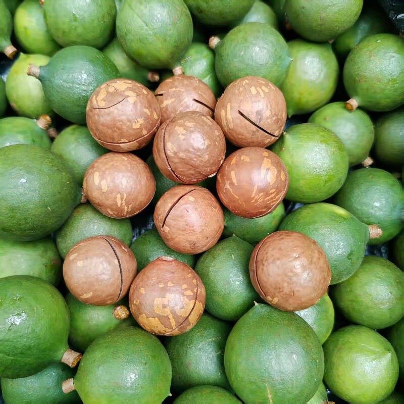 夏果佳仁夏威夷果 奶香味 原味 坚果零食热卖款 夏威夷果【中果268g】奶香味