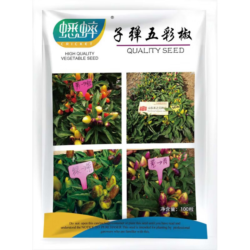 醉春木五彩椒种子七彩辣椒种籽四季朝天椒辣椒种孑蔬菜种苗小米盆 五